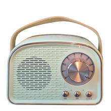 Load image into Gallery viewer, Retro Bluetooth Speakers - Pistachio & Gold