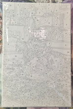 Load image into Gallery viewer, Paint by Numbers - Kitten with Red Yarn