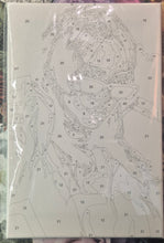 Load image into Gallery viewer, Paint by Numbers - BE