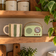 Load image into Gallery viewer, Retro Bluetooth Speakers - Pistachio & Gold