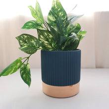 Load image into Gallery viewer, SoSo Retro Colour Block Ceramic Plant Pot - Turquoise &amp; Gold
