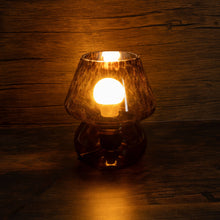 Load image into Gallery viewer, Leopard print Lamp
