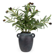 Load image into Gallery viewer, Olive Tree in Vase 6pk
