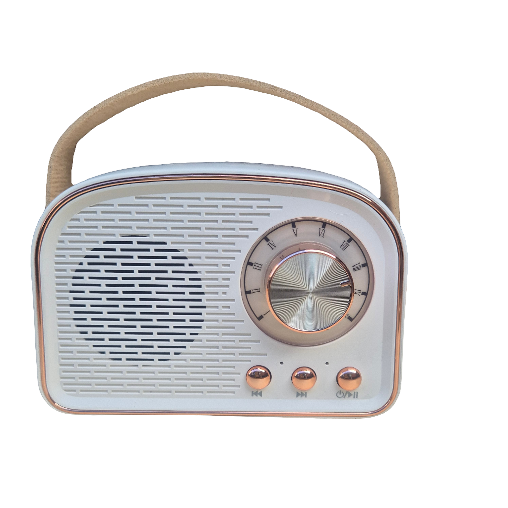 Retro Bluetooth Speakers - Cream & Gold – SoSo Retro