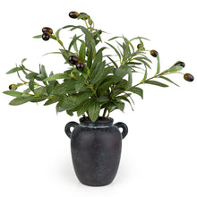 Load image into Gallery viewer, Olive Tree in Vase 6pk
