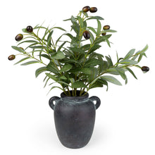 Load image into Gallery viewer, Olive Tree in Vase 6pk
